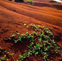 奇特冒险游戏《小小冒险家》5＆30推出
